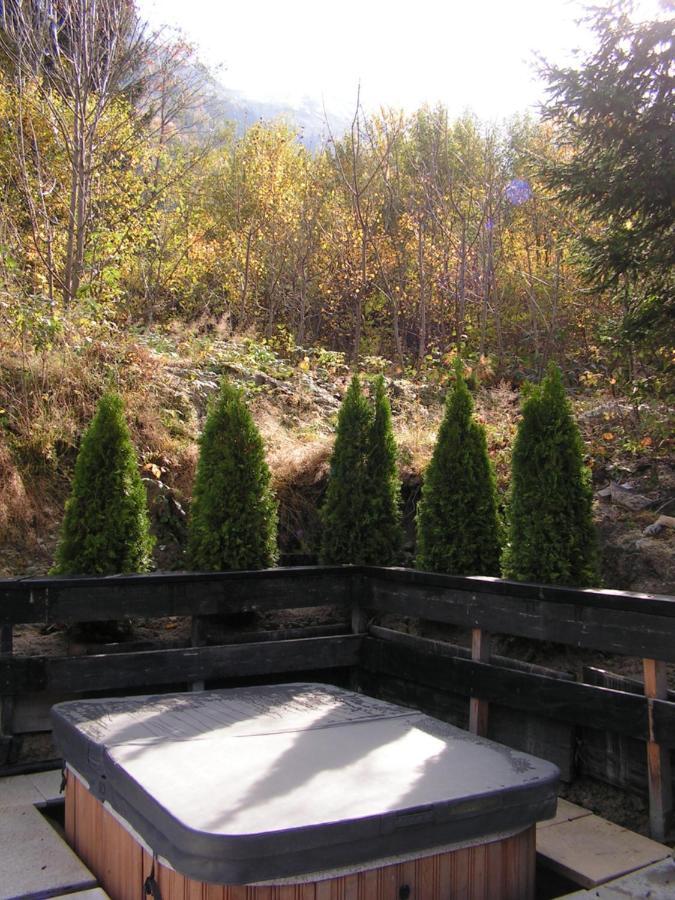 Chalet L'Ourson Villa Chamonix Buitenkant foto
